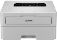 Printer Laser Brother HL-L2865DW